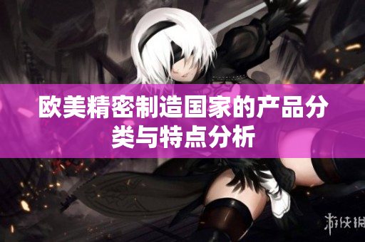 欧美精密制造国家的产品分类与特点分析