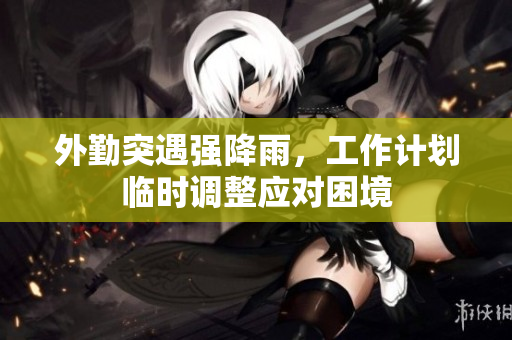 外勤突遇强降雨，工作计划临时调整应对困境