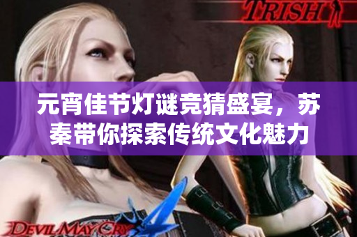 元宵佳节灯谜竞猜盛宴，苏秦带你探索传统文化魅力