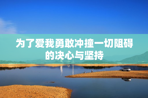 为了爱我勇敢冲撞一切阻碍的决心与坚持
