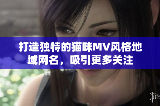 打造独特的猫咪MV风格地域网名，吸引更多关注