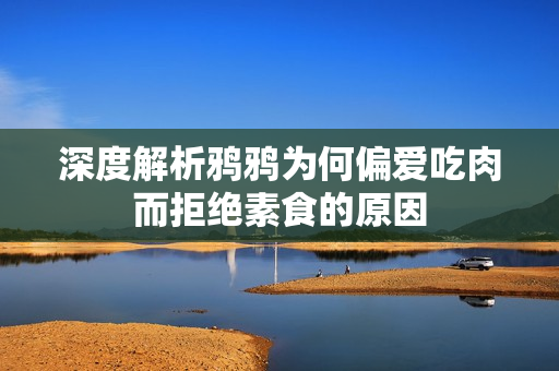 深度解析鸦鸦为何偏爱吃肉而拒绝素食的原因