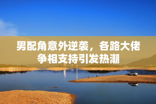 男配角意外逆袭，各路大佬争相支持引发热潮