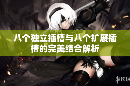 八个独立插槽与八个扩展插槽的完美结合解析
