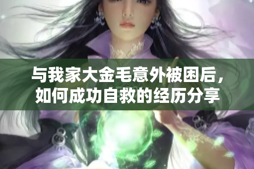 与我家大金毛意外被困后，如何成功自救的经历分享