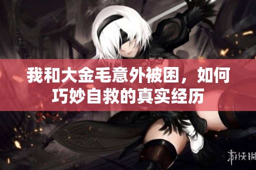 我和大金毛意外被困，如何巧妙自救的真实经历