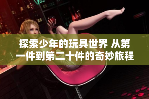 探索少年的玩具世界 从第一件到第二十件的奇妙旅程