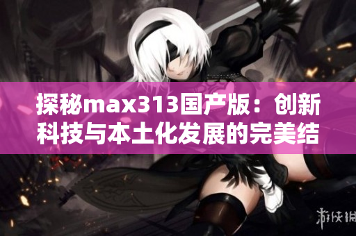探秘max313国产版：创新科技与本土化发展的完美结合