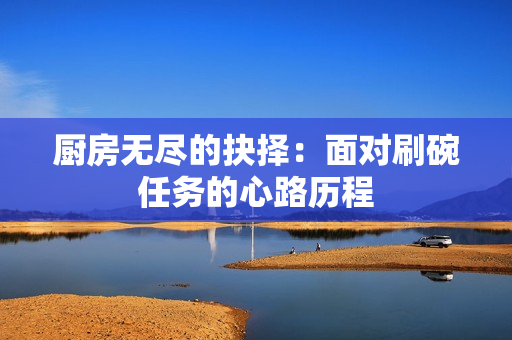 厨房无尽的抉择：面对刷碗任务的心路历程