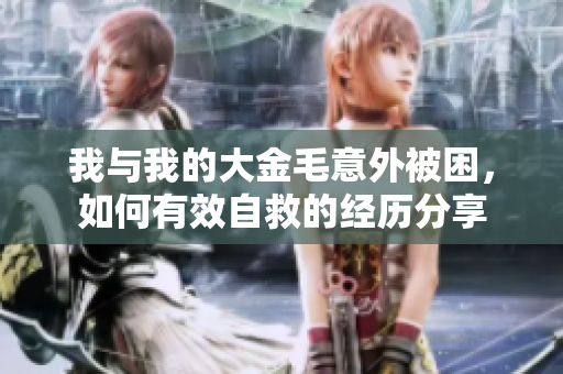 我与我的大金毛意外被困，如何有效自救的经历分享