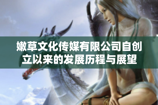 嫩草文化传媒有限公司自创立以来的发展历程与展望