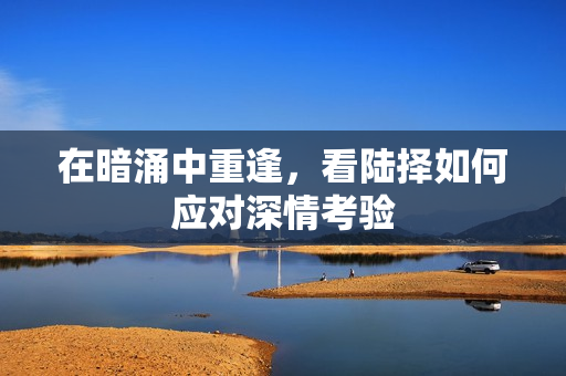 在暗涌中重逢，看陆择如何应对深情考验