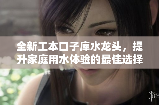 全新工本口子库水龙头，提升家庭用水体验的最佳选择