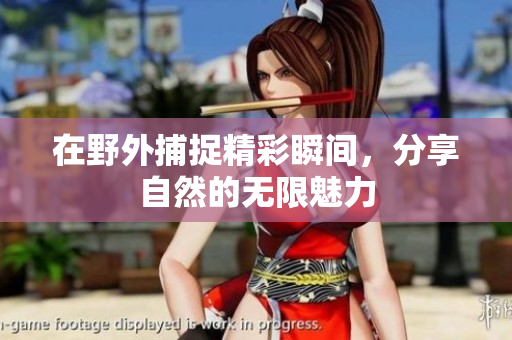 在野外捕捉精彩瞬间，分享自然的无限魅力