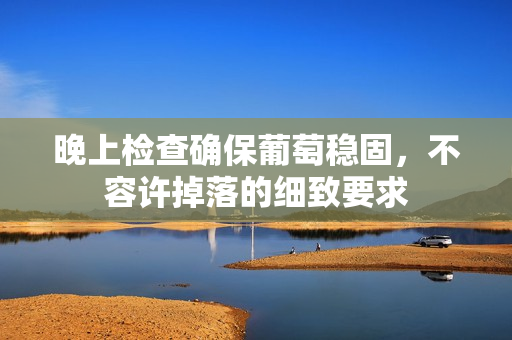晚上检查确保葡萄稳固，不容许掉落的细致要求