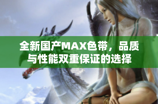 全新国产MAX色带，品质与性能双重保证的选择