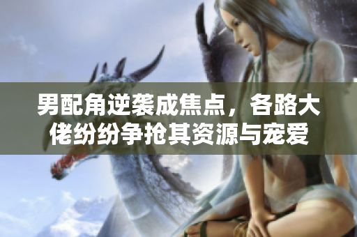 男配角逆袭成焦点，各路大佬纷纷争抢其资源与宠爱