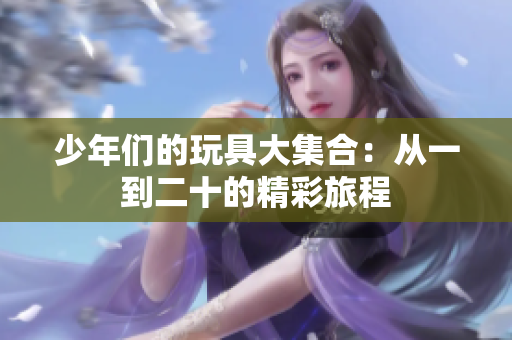 少年们的玩具大集合：从一到二十的精彩旅程