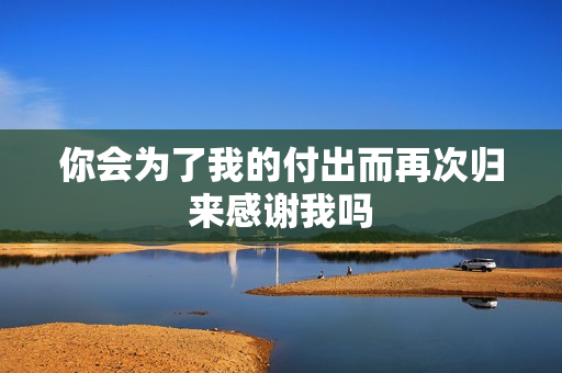 你会为了我的付出而再次归来感谢我吗