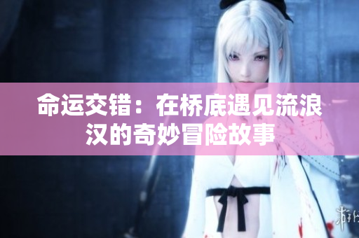 命运交错：在桥底遇见流浪汉的奇妙冒险故事