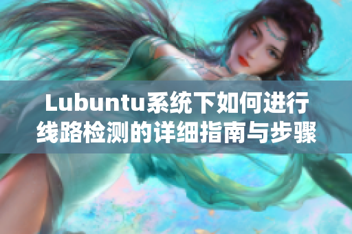 Lubuntu系统下如何进行线路检测的详细指南与步骤分析