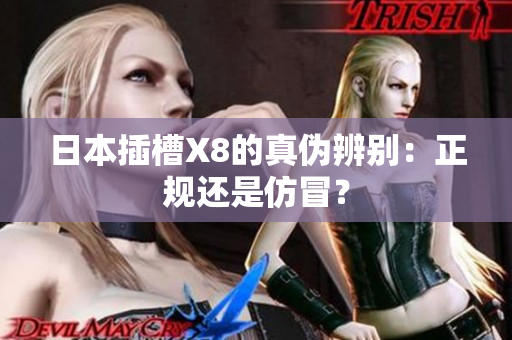 日本插槽X8的真伪辨别：正规还是仿冒？
