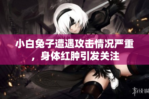 小白兔子遭遇攻击情况严重，身体红肿引发关注