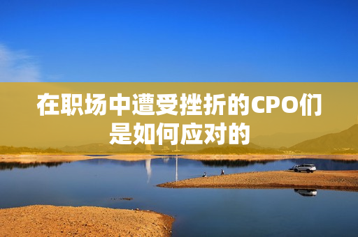 在职场中遭受挫折的CPO们是如何应对的