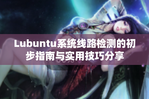 Lubuntu系统线路检测的初步指南与实用技巧分享