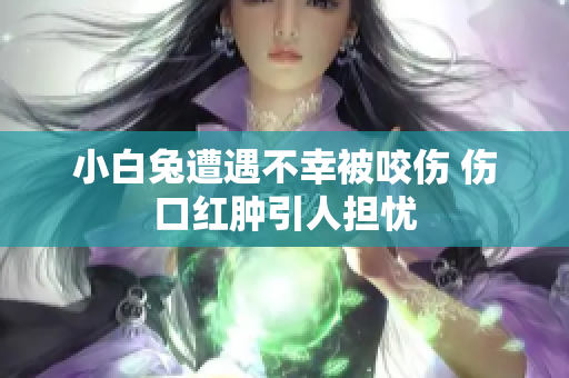 小白兔遭遇不幸被咬伤 伤口红肿引人担忧