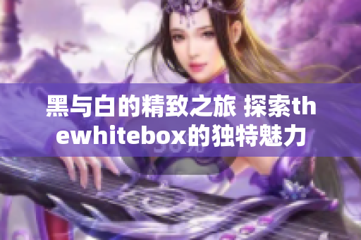 黑与白的精致之旅 探索thewhitebox的独特魅力