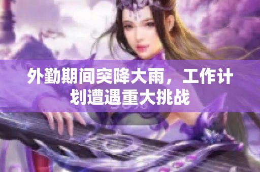 外勤期间突降大雨，工作计划遭遇重大挑战