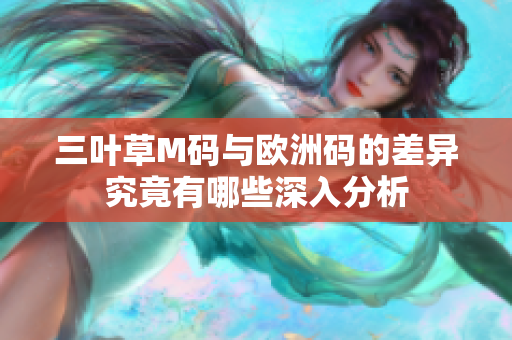 三叶草M码与欧洲码的差异究竟有哪些深入分析