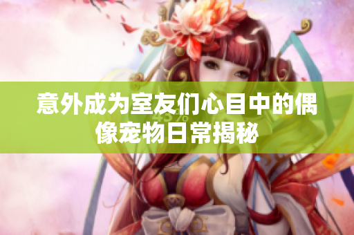 意外成为室友们心目中的偶像宠物日常揭秘