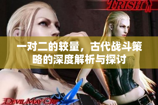 一对二的较量，古代战斗策略的深度解析与探讨