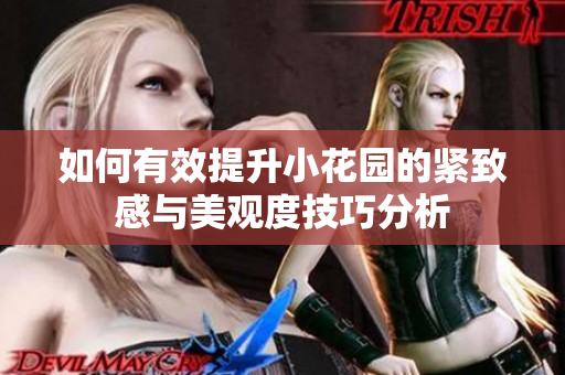 如何有效提升小花园的紧致感与美观度技巧分析