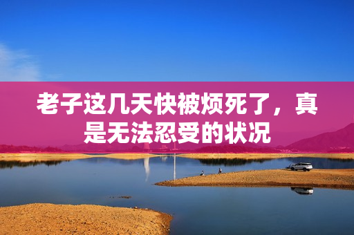 老子这几天快被烦死了，真是无法忍受的状况