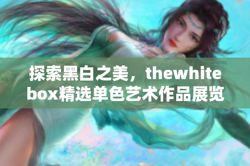 探索黑白之美，thewhitebox精选单色艺术作品展览