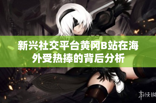 新兴社交平台黄冈B站在海外受热捧的背后分析
