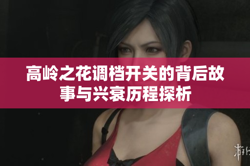 高岭之花调档开关的背后故事与兴衰历程探析