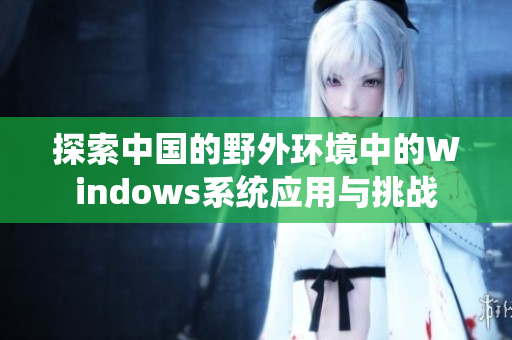 探索中国的野外环境中的Windows系统应用与挑战