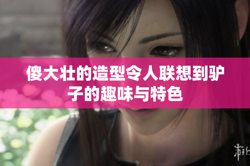 傻大壮的造型令人联想到驴子的趣味与特色