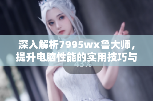 深入解析7995wx鲁大师，提升电脑性能的实用技巧与建议