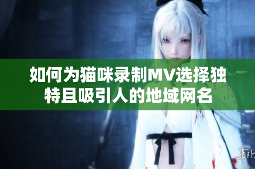 如何为猫咪录制MV选择独特且吸引人的地域网名