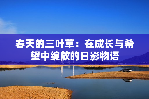 春天的三叶草：在成长与希望中绽放的日影物语