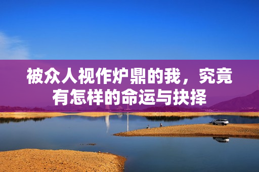 被众人视作炉鼎的我，究竟有怎样的命运与抉择