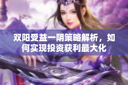 双阳受益一阴策略解析，如何实现投资获利最大化