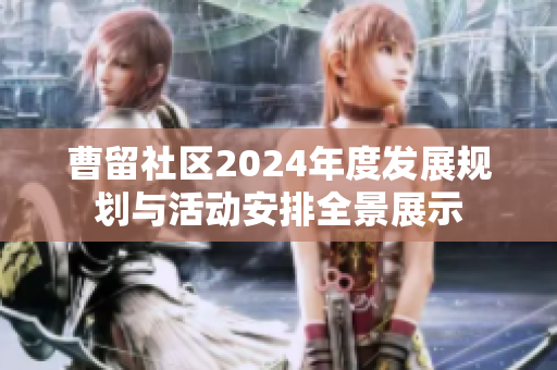 曹留社区2024年度发展规划与活动安排全景展示