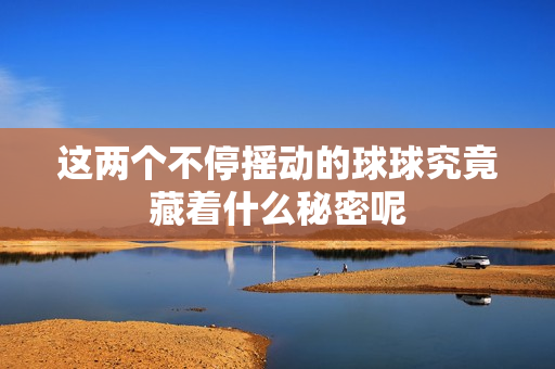 这两个不停摇动的球球究竟藏着什么秘密呢
