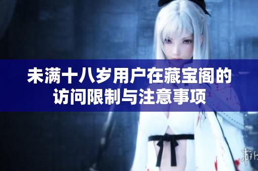 未满十八岁用户在藏宝阁的访问限制与注意事项